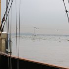 Anclado La embarcación se encuentra varada en el muelle, mientras la aerovía continúa funcionando.