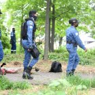 Hecho. Los operativos se ejecutaron en todos los bosques protectores.