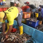 Aplicación. La UE busca que Ecuador mejore sus controles y eleve sus estándares con la pesca ilegal.