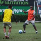 El cuadro canario se afina para medir a Metropolitanos de Venezuela, en duelo válido por la Copa Sudamericana.