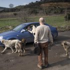 Empresario turco crea en su jardín un "arca de Noé" de animales abandonados