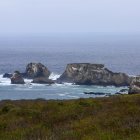 En la imagen un registro de archivo de una de las islas de las Galápagos.