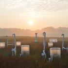Amanecer en el humedal de investigación del Smithsonian Envioronmental Reseach Center (SERC) en Maryland, Estados Unidos. En estas cámaras se cultivan plantas con CO2 extra desde 1987.