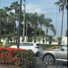 Hecho. La novedad fue registrada en un video y se difundió en redes sociales.