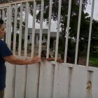 Seguridad. Andrea Vinueza, habitante de La Victoria, confía en la protección de sus animales de compañía. Los canes, reconoce, sumado a las rejas, son su única protección. Del lado de las autoridades no ve nada.