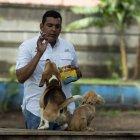 El entrenador canino Alfredo Pérez entrena a dos perros en La Escuela Canina de Nicaragua hoy, en Managua (Nicaragua).