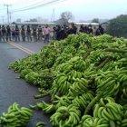 Los productores han paralizado las vías por la crisis agravada por la guerra entre Rusia y Ucrania.