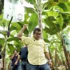Finca.- El viceministro de Agricultura y Ganadería, Eduardo Izaguirre, en las inspecciones a las bananeras.