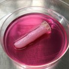 Investigadores de la Universidad de Tokio desarrollan un método para cubrir a los robots con células humanas vivas