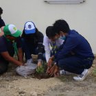 Los niños fueron los encargados de plantar las especies.