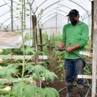 Las florícolas han tenido problemas en su cadena de suministros por las movilizaciones.