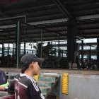 Desabasto y especulación de precios en el mercado de transferencia de víveres de Montebello