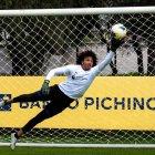 El arquero Erik Viveros se formó en Liga Deportiva Universitaria de Quito. Llega desde el Atlético Santo Domingo