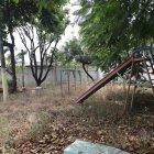 Escenario. Los juegos infantiles se borran del mapa debido a la maleza.