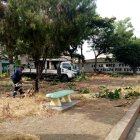 Efecto. El área era comparada como una selva.