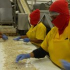 Al sector le toca trabajar en la caracterización y codificación de las artes de pesca que se utilizan y en un sistema de recolección de datos que será alimentado por sus actores