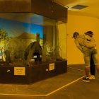 Dos turistas observan el cuerpo del Solitario George, que permanece expuesto en un lugar donde no le dé el sol y a una temperatura regulada.