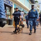 Junto a 18 agentes metropolitanos, los canes refuerzan la seguridad de la urbe.