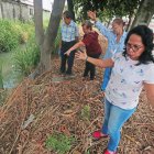 El canal 31 cada vez aumenta su diámetro y causa daños a las paredes posteriores de las viviendas que colindan con este. Además, es un foco de insalubridad para los residentes.