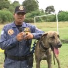 Caso. El can fue rescatado.