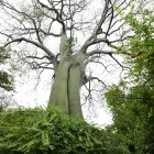 Una de las especies que más llama la atención de los visitantes.