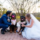 Un evento especial. Los novios Gabriela Corona y Andrés Sánchez vistieron a sus mascotas para la ocasión.