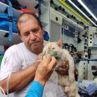 Siniestro. Las mascotas fueron atendidas tras el incidente.