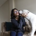 Recuperación. Después de un año, Pocho demuestra un gran cambio en su vida, de luchas constantes pasó a caricias diarias en su nuevo hogar.