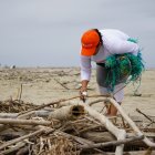 Palos y redes fue lo que más se sacó del mar el pasado domingo.