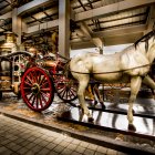 Espacio. En el museo de la entidad se desarrollarán los juegos.