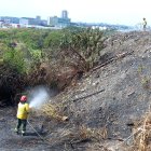 Los bomberos llegaron para controlar el incendio