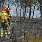 Varios bomberos en la zona afectada por el incendio forestal originado ayer en Humanes (Guadalajara).
