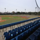 En 45 días ya se podrá utilizar el gramado del diamante del Yeyo Úraga con el objetivo de que el césped esté bien enraizado.