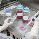 Un investigador trabajando en un laboratorio.