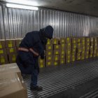 Policías antinarcóticos buscan droga en varios contenedores el 22 de julio de 2022, en el Puerto de Guayaquil, en Guayaquil (Ecuador).