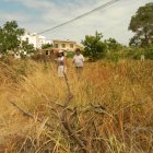 Maleza. Este es el panorama que observan los residentes a diario, desde cualquier rincón de la ciudadela. Hay maleza y palos por todos lados. Ni siquiera la limpieza es suficiente por parte del Cabildo.
