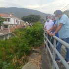 Canal. La maleza allí mide más de 2 metros de altura en ciertos tramos.