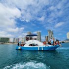 Diversión. Familias enteras dedican sus fines de semana a ver a los cetáceos en medio del mar.