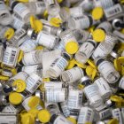 Fotografía de archivo de vacunas contra la viruela.