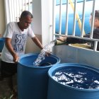 Tanqueros. El abastecimiento, en general, de agua potable en un gran porcentaje del cantón se realiza a través de los tanqueros que cobran 1 dólar por cada tanque.