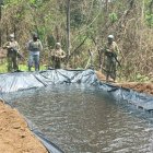 La piscina artesanal de aproximadamente 15 metros de largos por 4 metros de anchoo y uno y medio de profundidad.