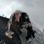 La imagen del águila levantada en la avenida Quito fue destruida