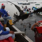 La principal actividad económica de Posorja es la pesca