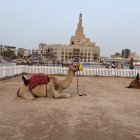 Un espacio con arena y camellos dentro del mercado de Souq Waqif es el lugar ideal para una foto.