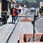 Centro. En las calles Portoviejo y Versalles, en el centro-norte, hay decenas de árboles que prácticamente están muertos. La gente dice que los podaron y se marchitaron.