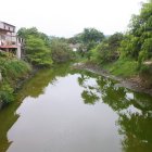 El estero. Emana malos olores todo el tiempo, pero estos se intensifican el fin de semana que van los turistas.