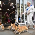 Imagen de archivo de una imitadora de Isabel II y sus perros paseando por Londres.
