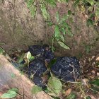 Material. Militares recibieron información de la presencia de material explosivo.