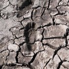 El planeta está muy afectado por el cambio climático