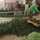 En la empresa Etyecu se contratan a más personal por la temporada de las fiestas de diciembre. Allí se ponen etiquetas a los productos importados, tiene local en Guayaquil y Quito.